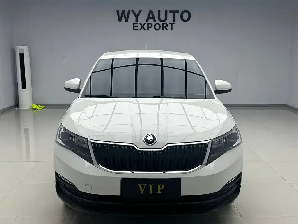 Skoda Kamiq 2021 из CN, фото 3