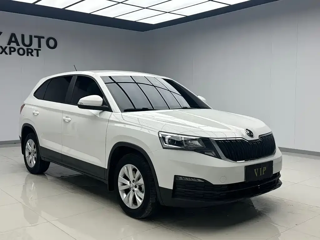 Skoda Kamiq 2021 из CN, фото 4