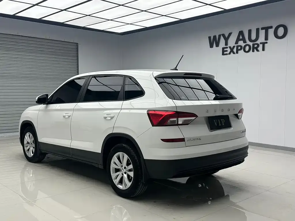 Skoda Kamiq 2021 из CN, фото 6