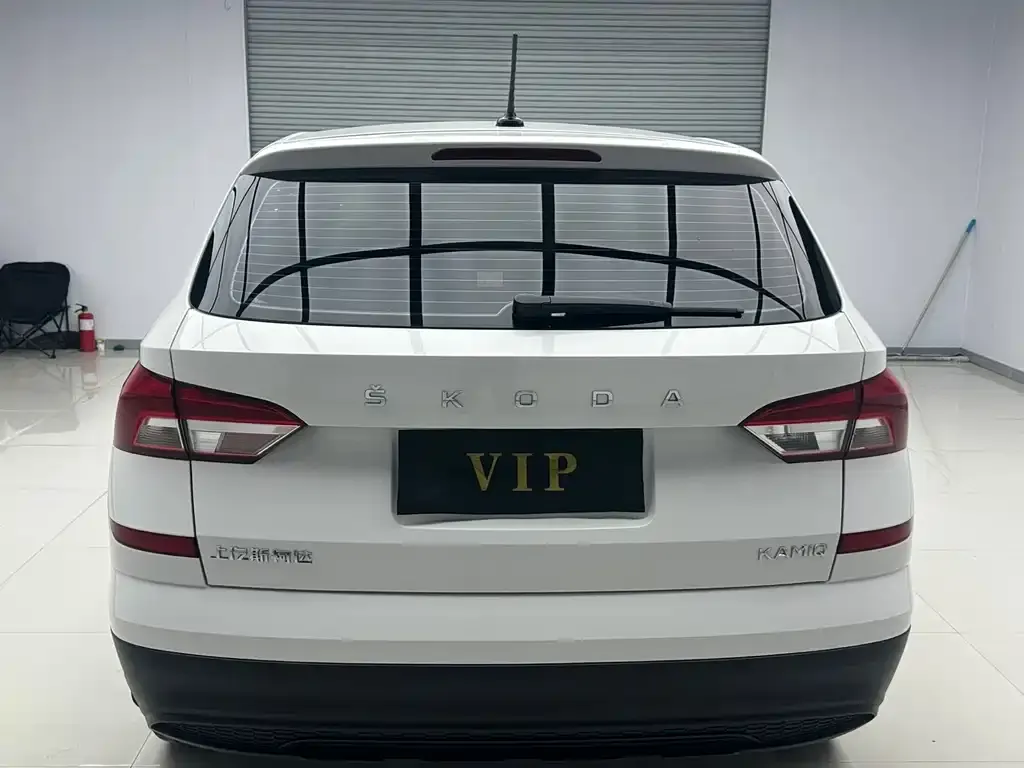 Skoda Kamiq 2021 из CN, фото 5