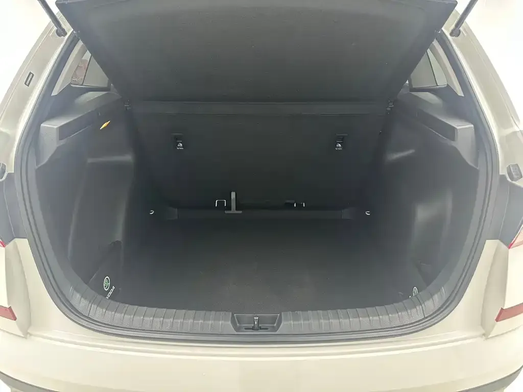 Skoda Kamiq 2021 из CN, фото 2