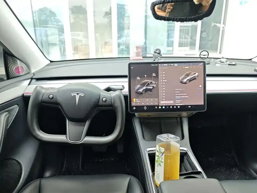 Tesla Model Y — фото 9