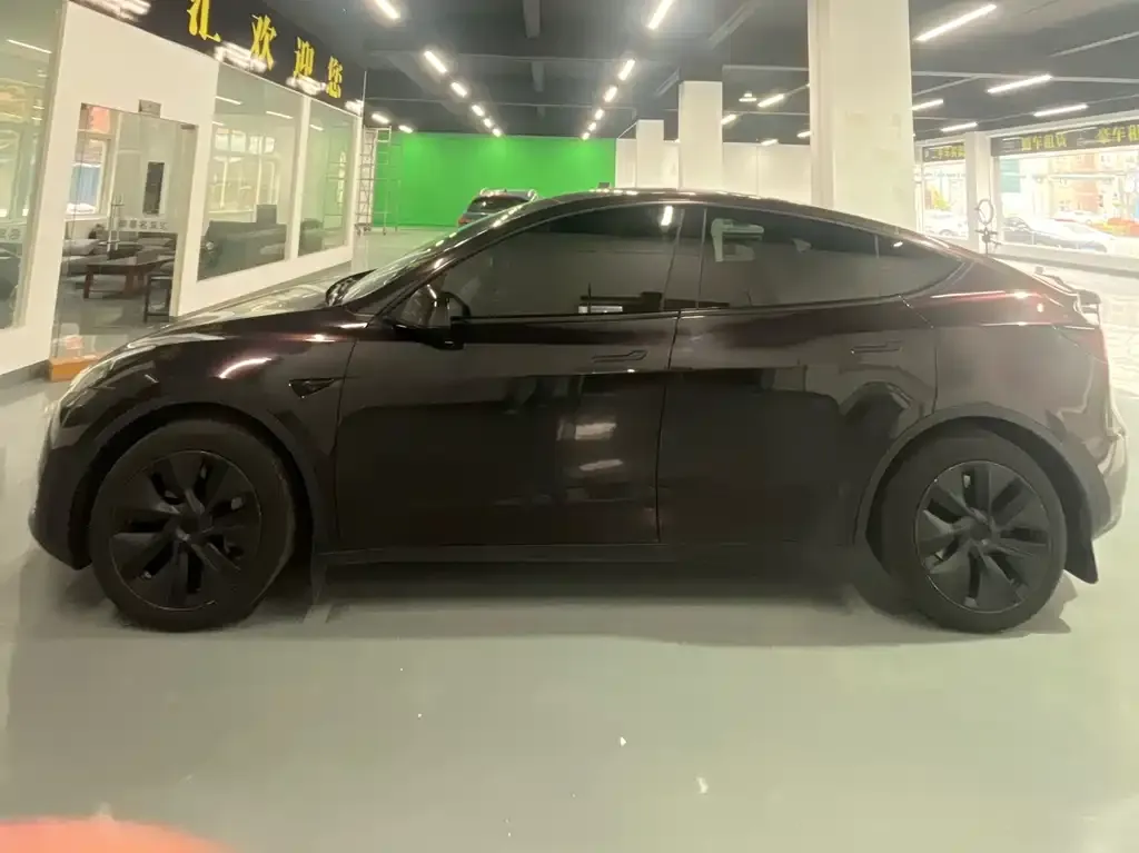 Tesla Model Y — фото 10