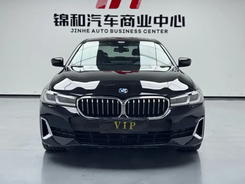 BMW 5 Series 2021 из CN, фото 9