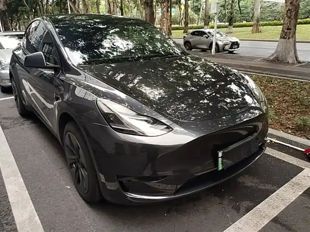 Tesla Model Y — фото 9