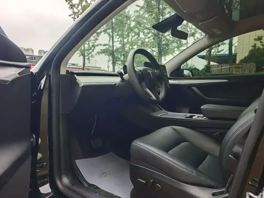 Tesla Model Y — фото 10