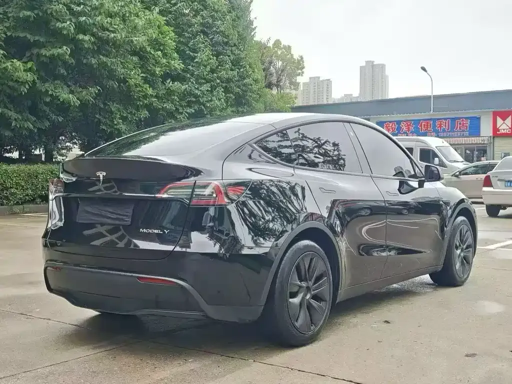 Tesla Model Y — фото 2