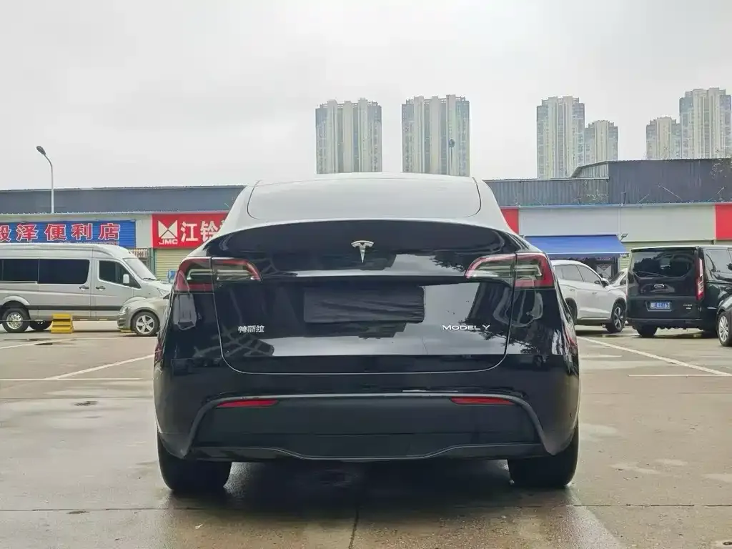 Tesla Model Y — фото 3