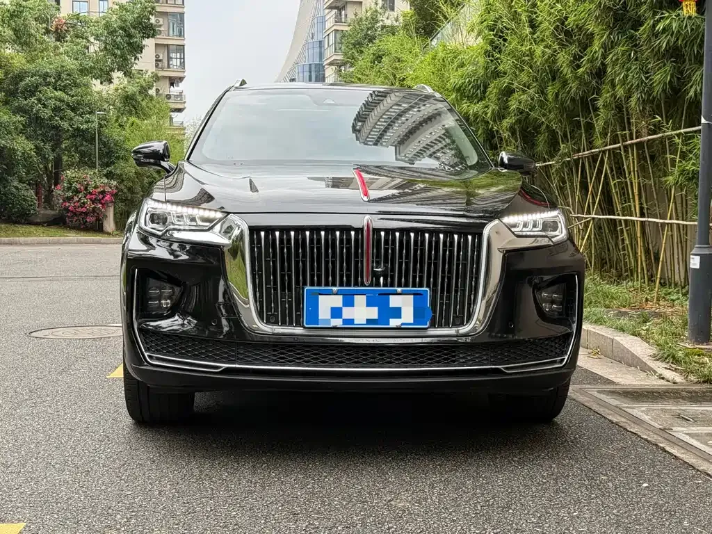 Hongqi HS5 2023 из CN, фото 10