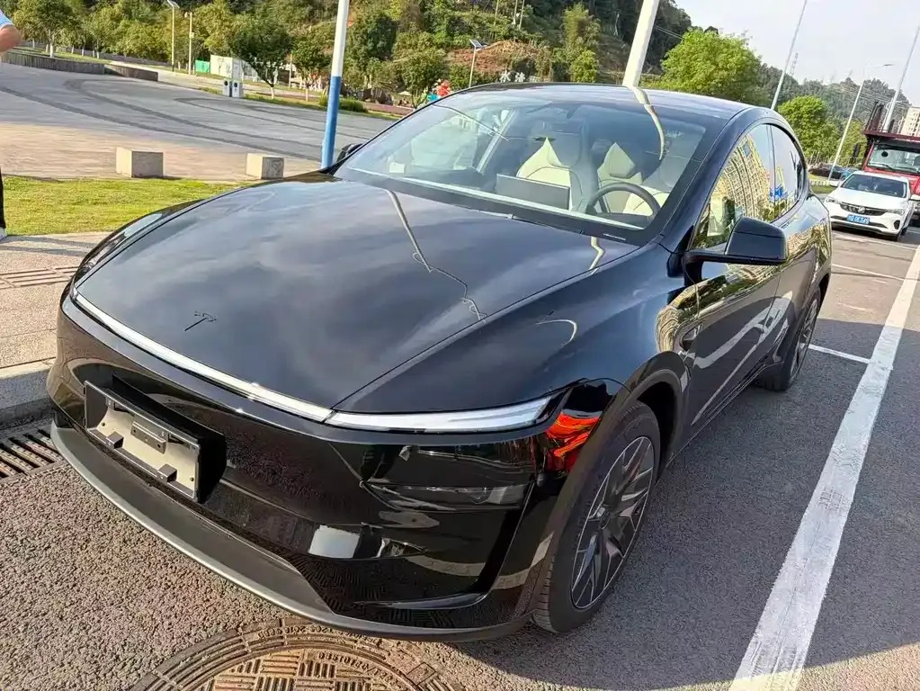Tesla Model Y L — фото 1