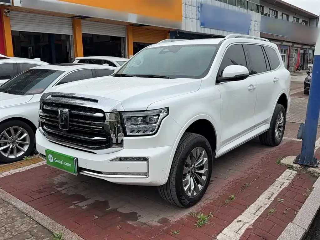 Tank 500 New Energy 2025 из CN, фото 1