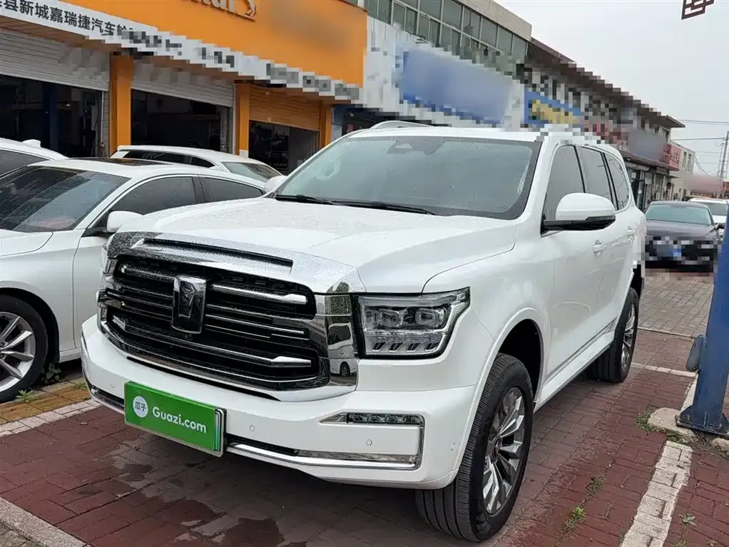 Tank 500 New Energy 2025 из CN, фото 6