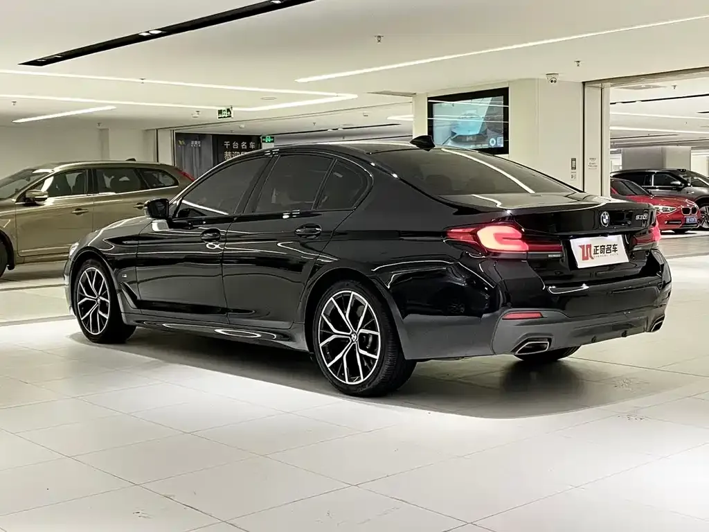 BMW 5 Series (Import) — фото 6