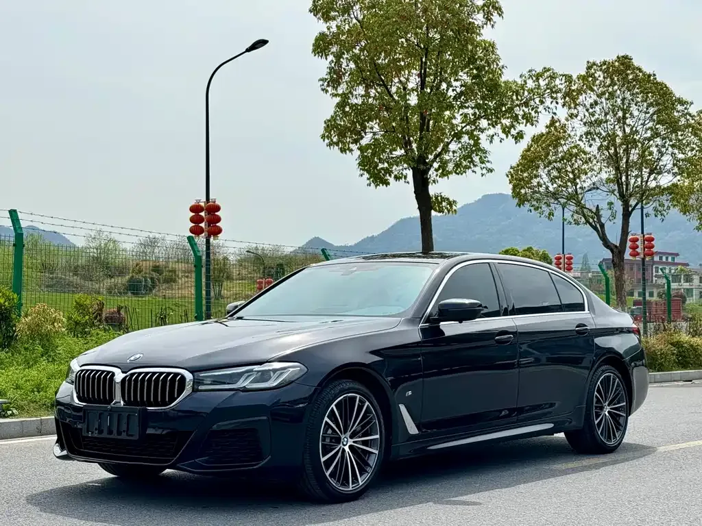 BMW 5 Series — фото 1
