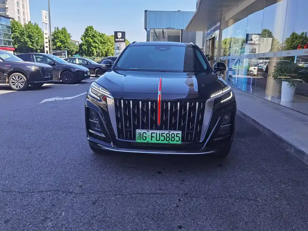 Hongqi HS3 PHEV 2025 из CN, фото 8