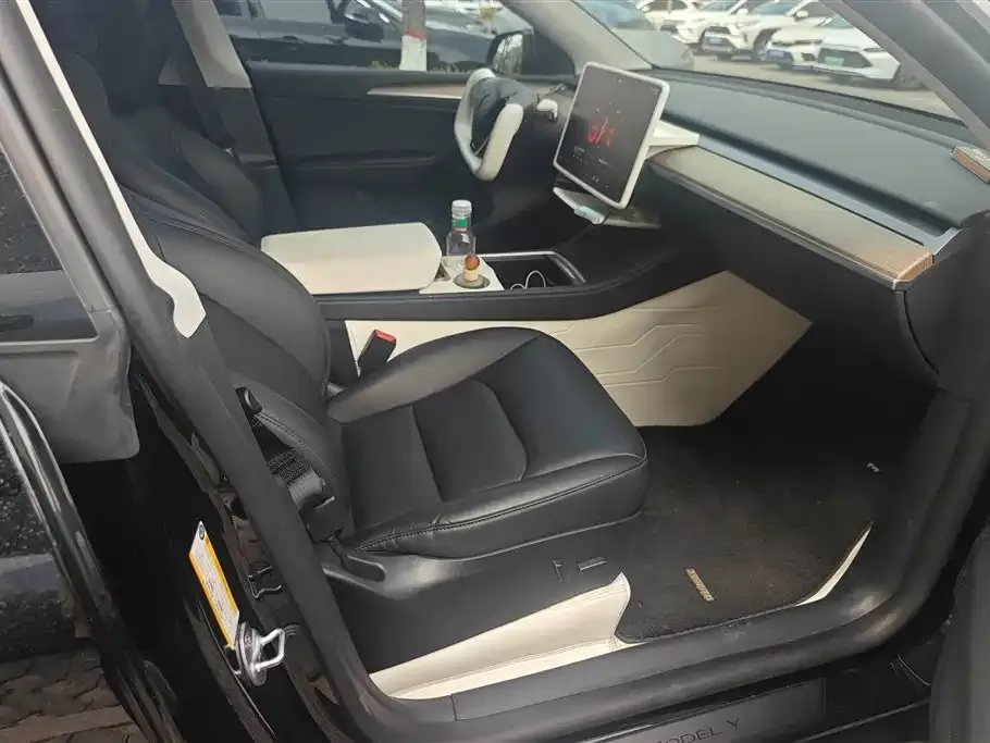 Tesla Model Y — фото 3