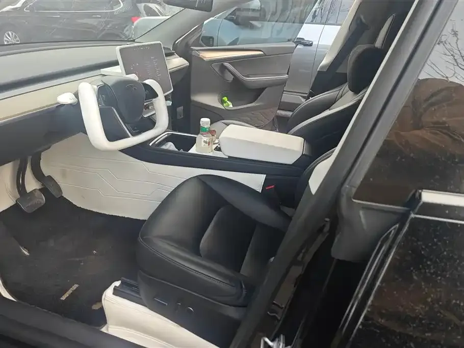 Tesla Model Y — фото 2