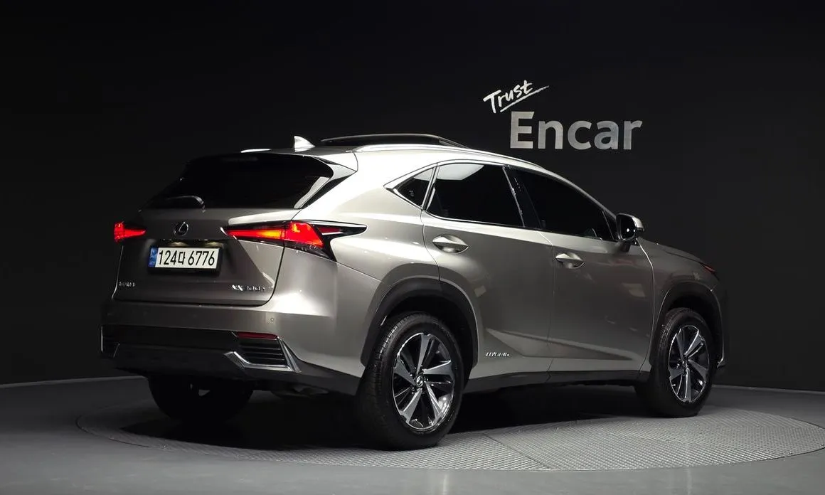 Lexus NX 2021 из KR, фото 3