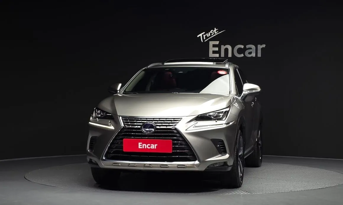 Lexus NX 2021 из KR, фото 2