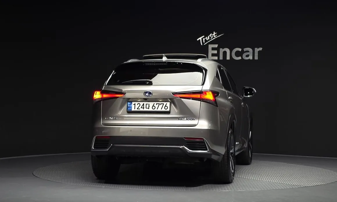 Lexus NX 2021 из KR, фото 4