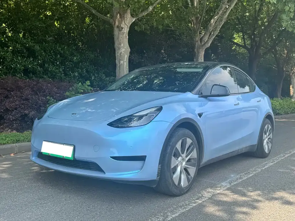 Tesla Model Y — фото 1