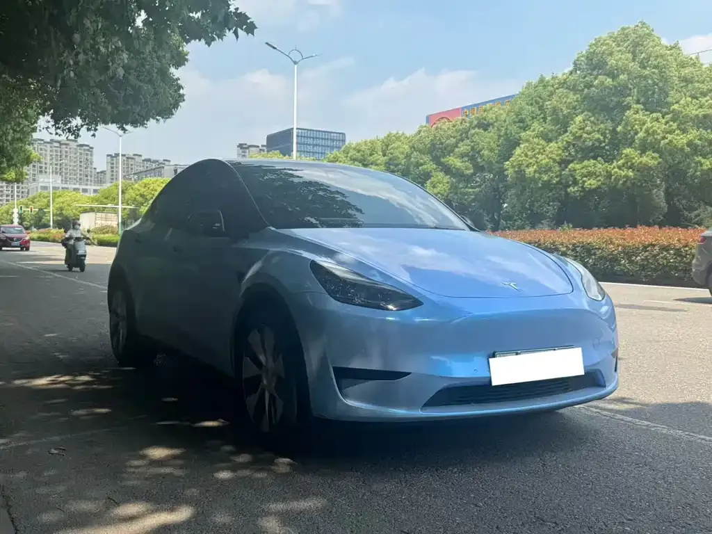 Tesla Model Y — фото 8