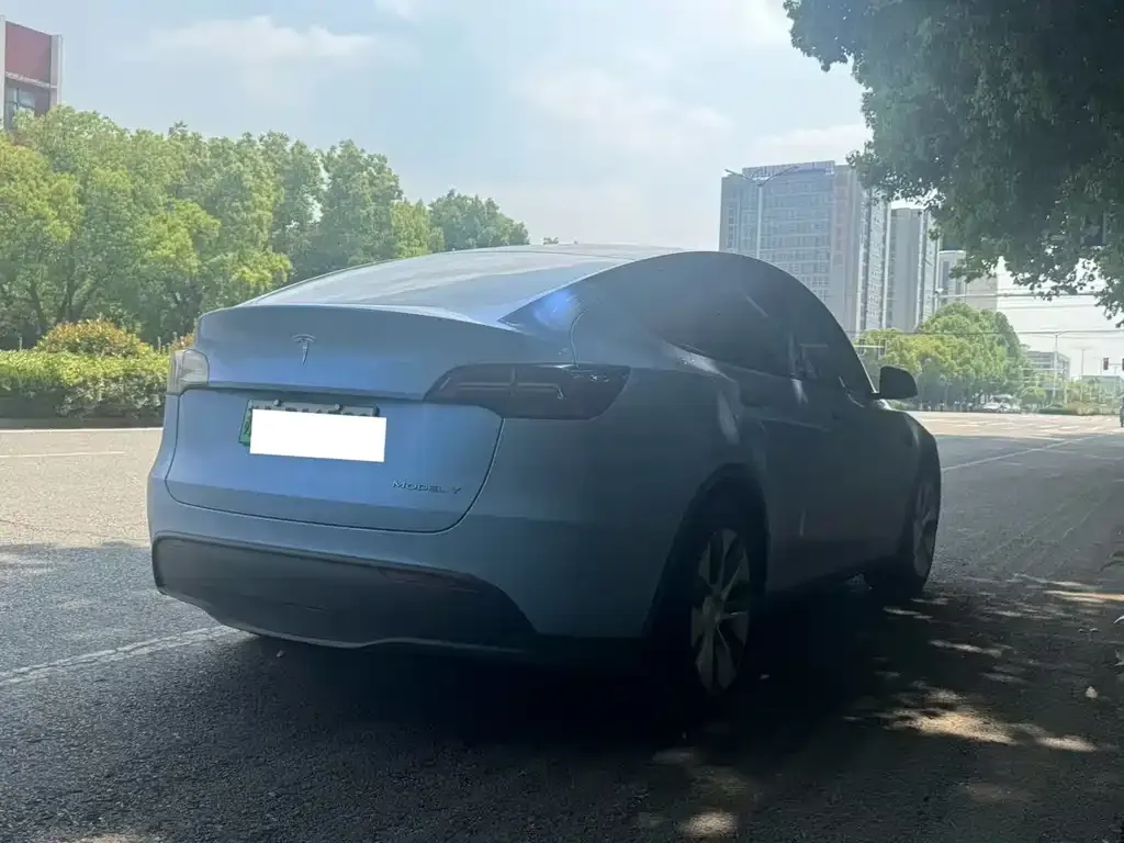Tesla Model Y — фото 5
