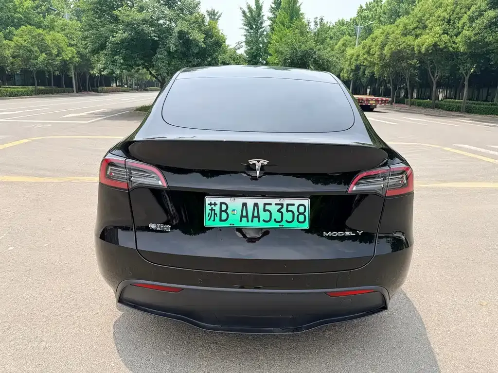 Tesla Model Y — фото 8