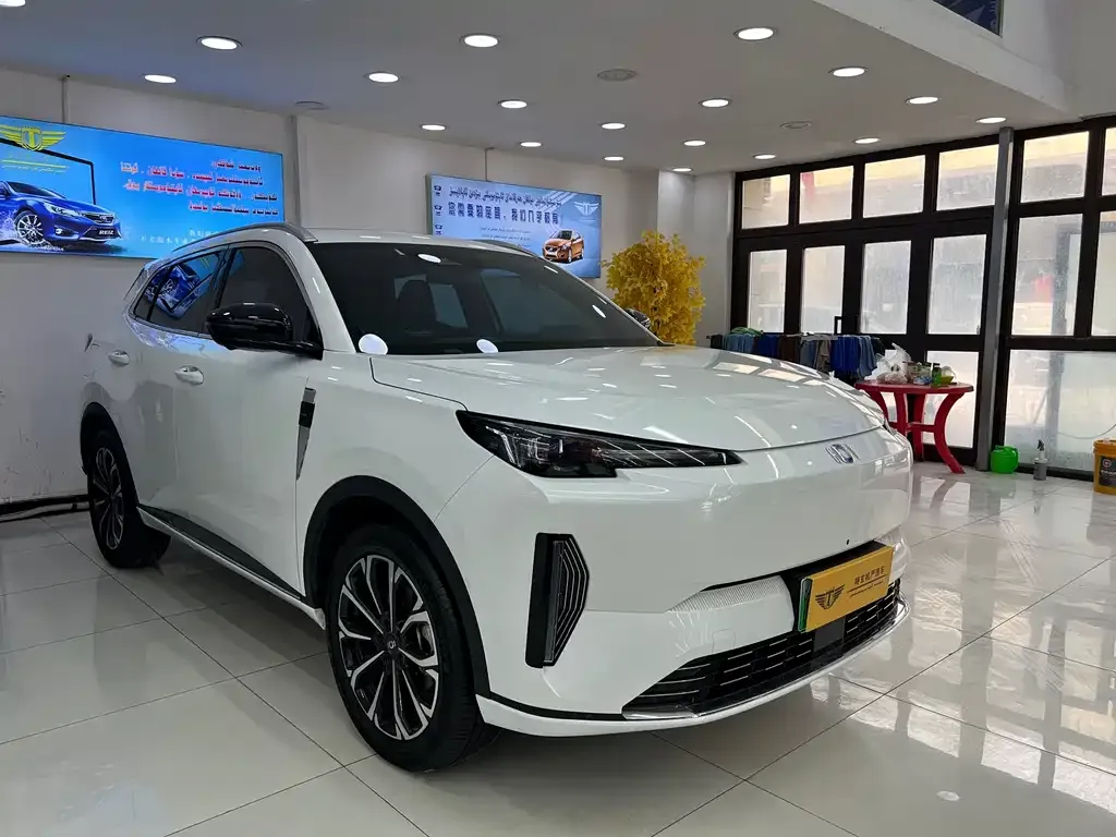 Qiyuan Q05 Classic 2024 из CN, фото 9