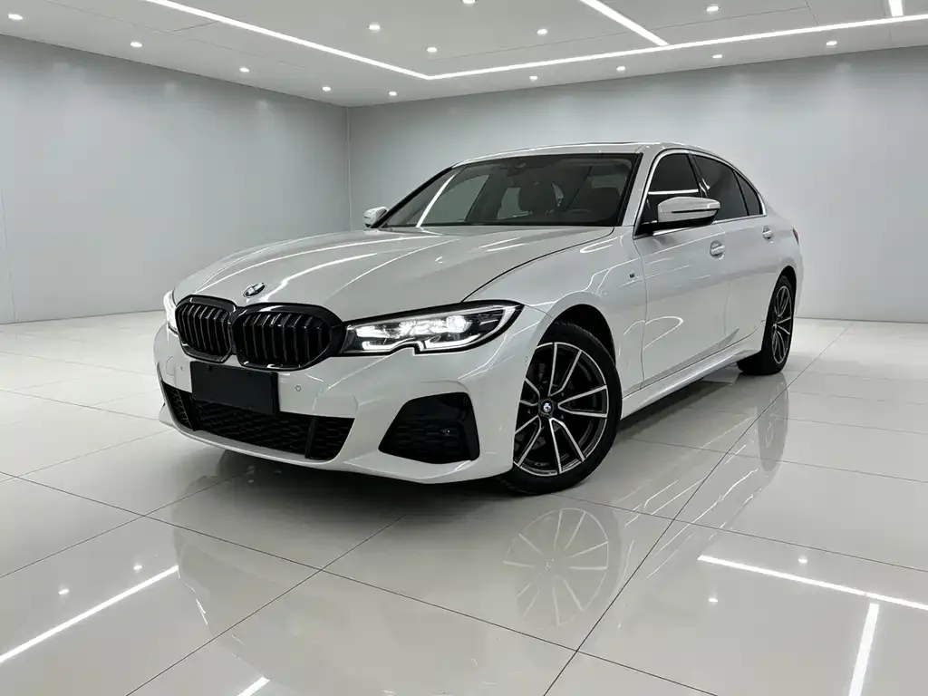 BMW 3 Series 2021 из CN, фото 7