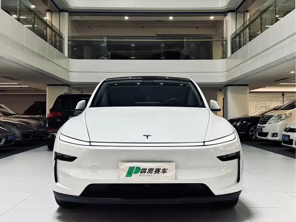 Tesla Model Y — фото 10
