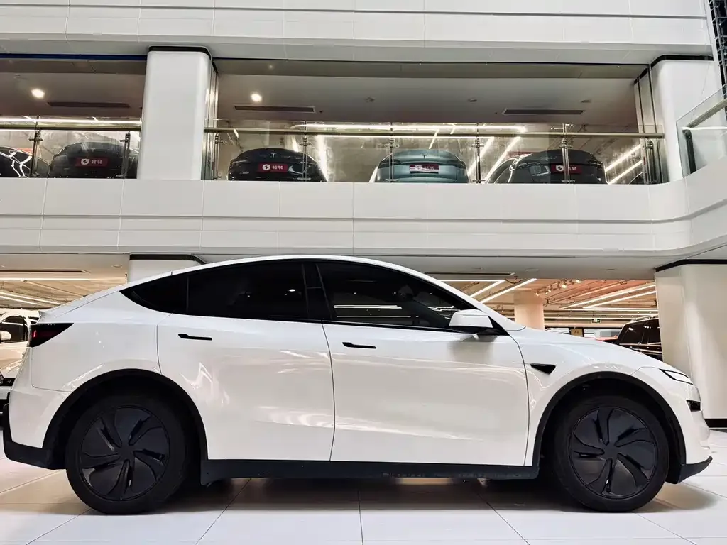 Tesla Model Y — фото 2