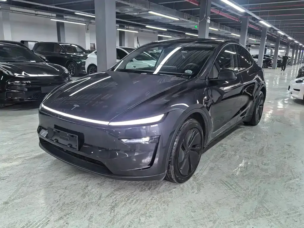 Tesla Model Y — фото 3