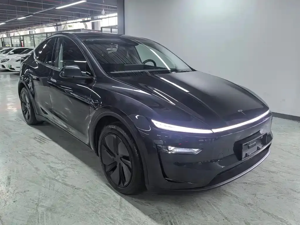 Tesla Model Y — фото 2