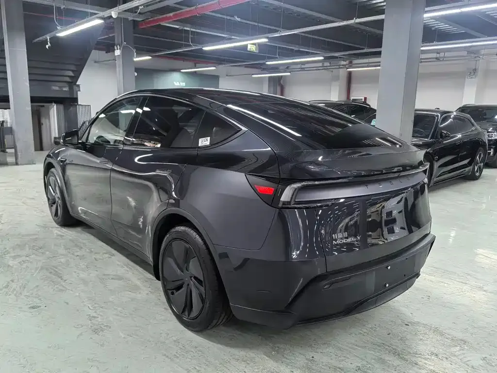 Tesla Model Y — фото 6