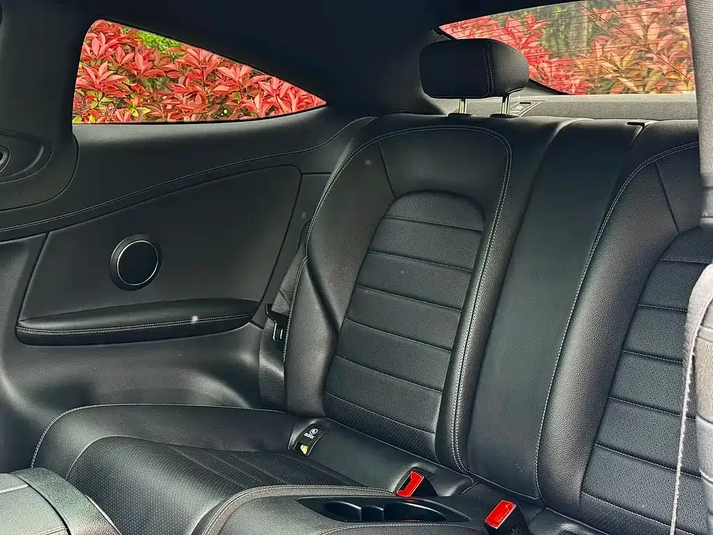 Mercedes-Benz C-Class (Import) 2021 из CN, фото 6