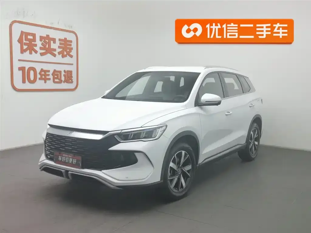 BYD Pro New Energy
