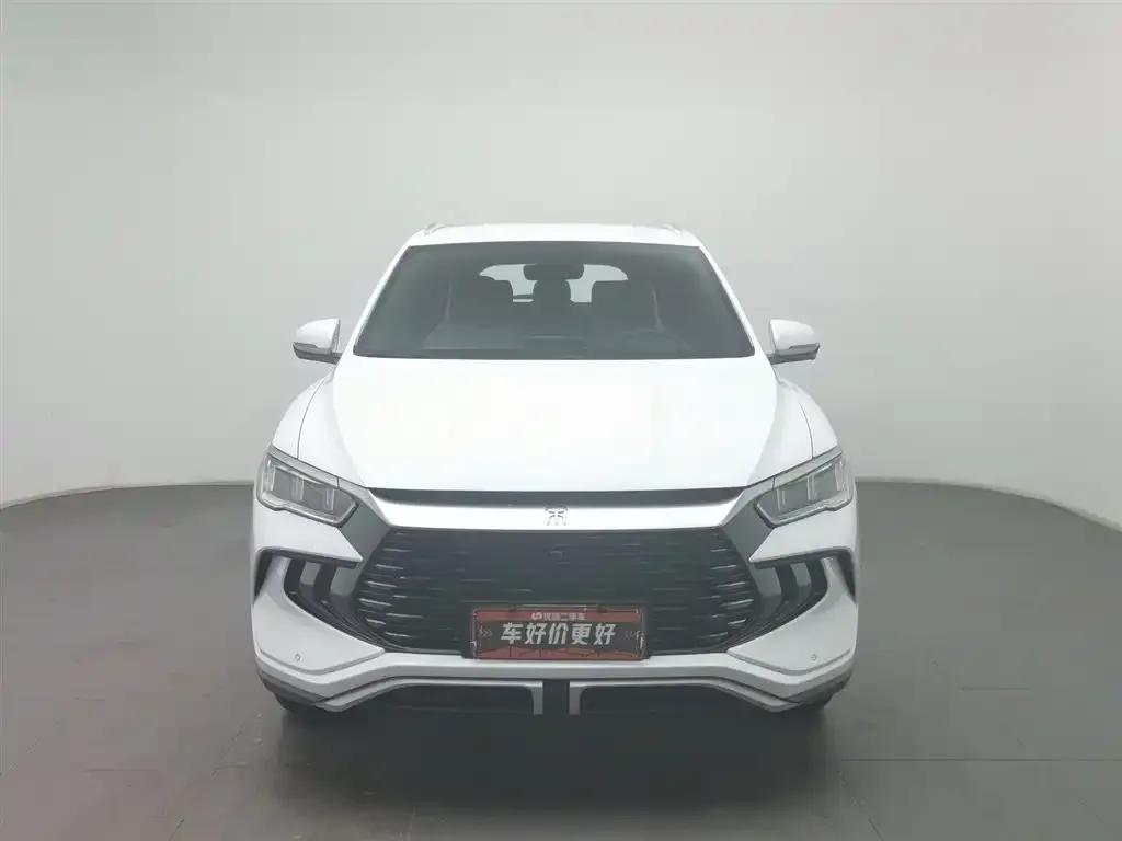 BYD Pro New Energy 2024 из CN, фото 2