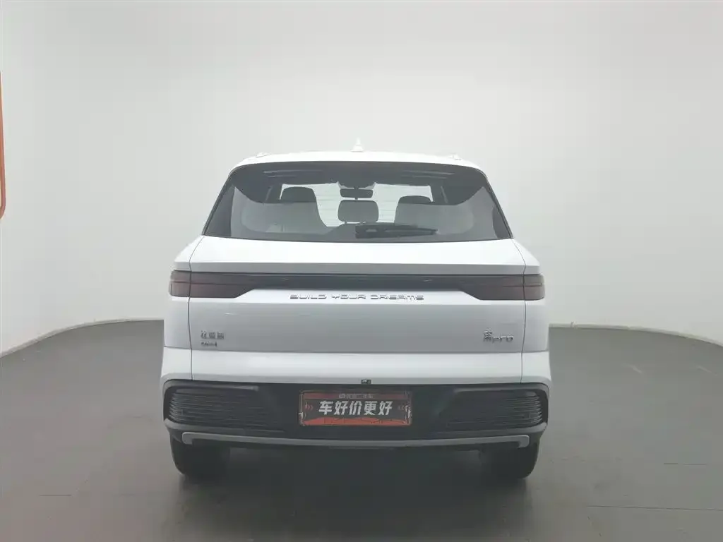 BYD Pro New Energy 2024 из CN, фото 9
