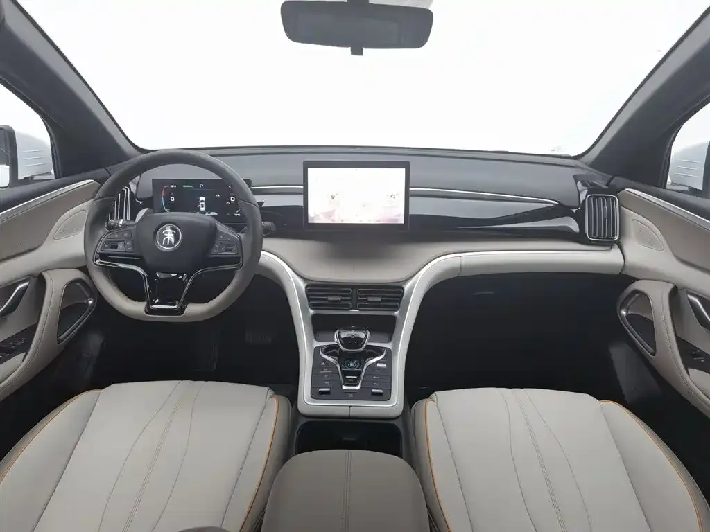 BYD Pro New Energy 2024 из CN, фото 7