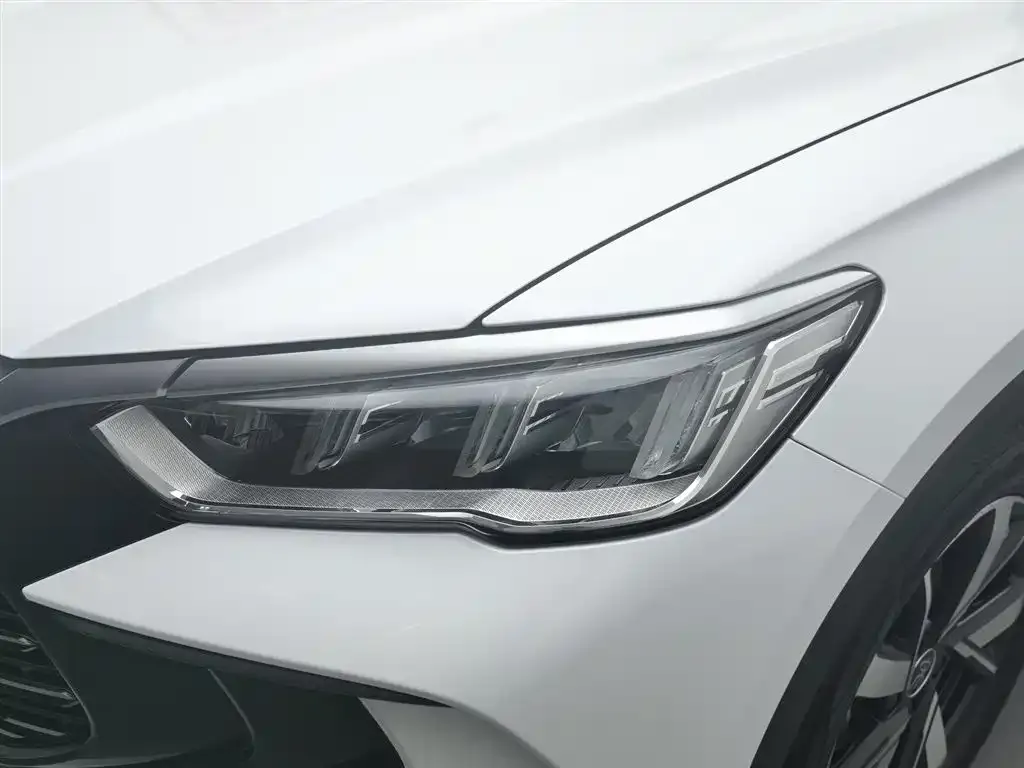 BYD Pro New Energy 2024 из CN, фото 5