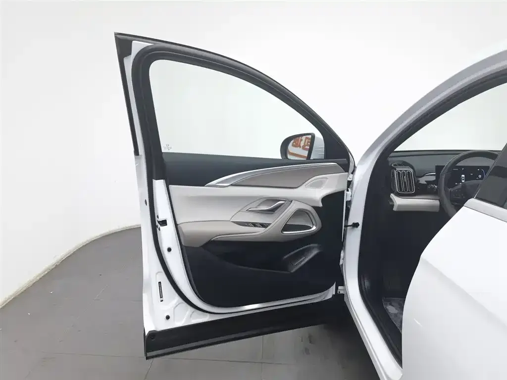 BYD Pro New Energy 2024 из CN, фото 4