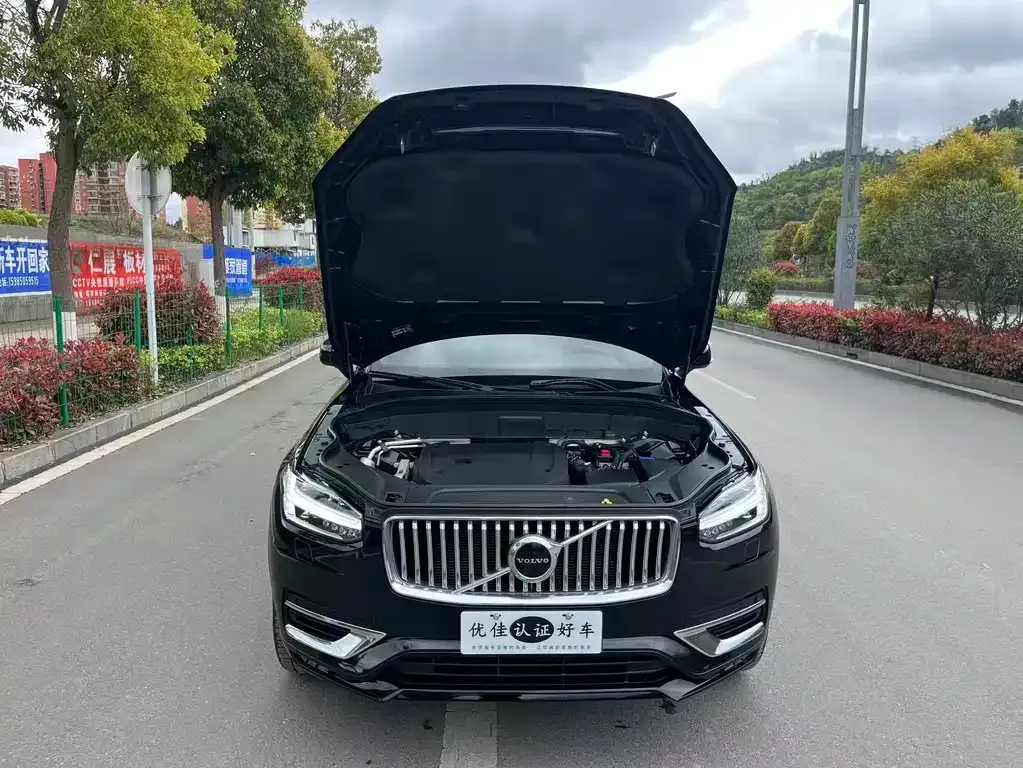 Volvo XC90 2021 из CN, фото 4