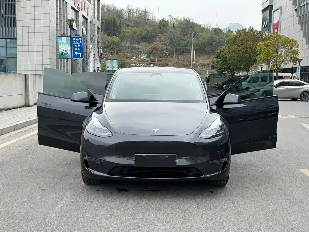 Tesla Model Y — фото 7