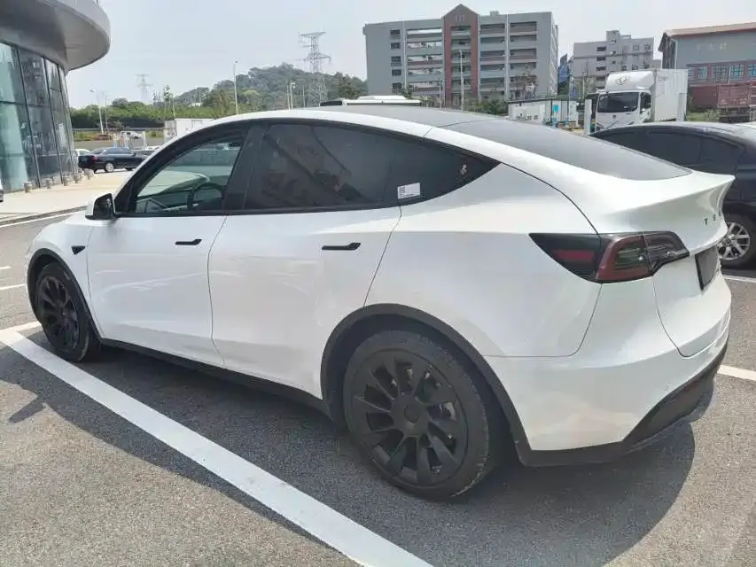 Tesla Model Y — фото 3