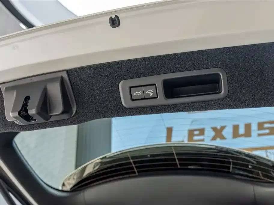 Lexus RX 2022 из CN, фото 3