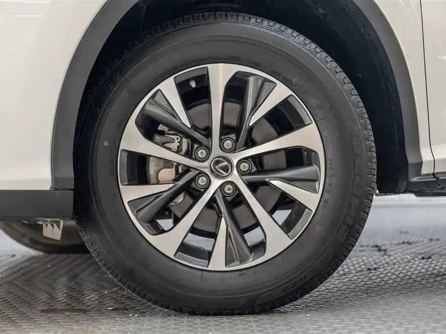 Lexus RX 2022 из CN, фото 9