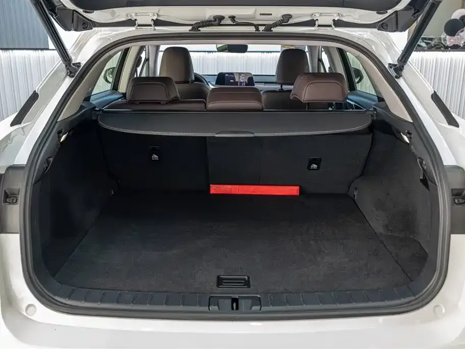 Lexus RX 2022 из CN, фото 2
