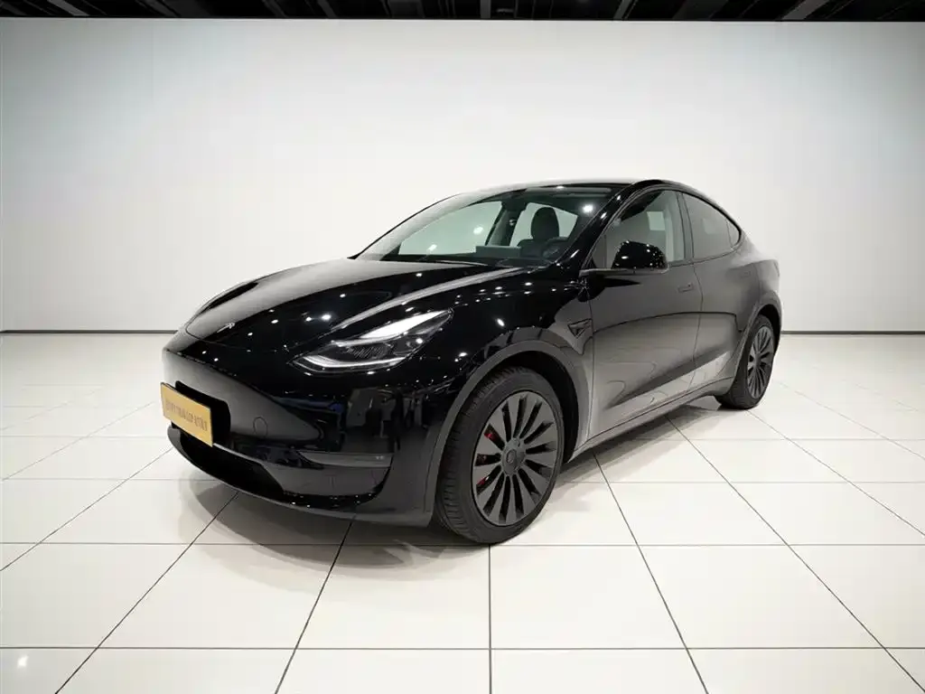 Tesla Model Y — фото 1