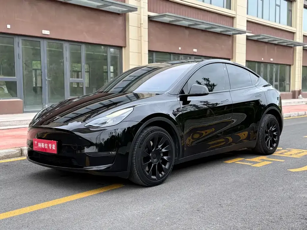 Tesla Model Y — фото 1
